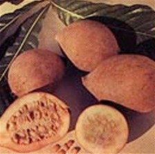 El verano: Jugo de Jagua