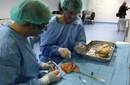 La primera 'fábrica' de órganos bioartificiales para trasplanteabre en Madrid