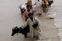 Pakistán: Inundaciones han dejado más de cuatro millones de damnificados