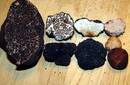 ¿Te gustan las trufas?