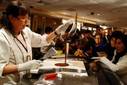 Cacao y chocolate peruano también serán protagonistas en Mistura 2010