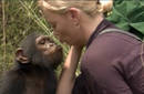 Charlize Theron en defensa de los chimpancés