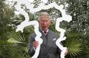 Príncipe Carlos de Inglaterra publicará libro ecológico