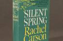Primavera Silenciosa, una obra siempre vigente de Rachel Carson