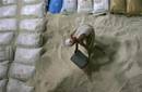 Un juego online ayuda a enviar arroz a Pakistán