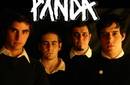 PANDA grabó un MTV Unplugged