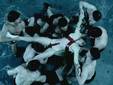 Lady Gaga estaría imitando a Madona en video de 'Alejandro'