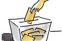 Voto Voluntario