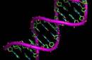 Nanorobot capaz de modificar ADN