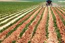 Ministro de agricultura Adolfo de Cordova anuncia ampliación del seguro agrario a otros cultivos