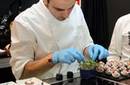 España: X Certamen Nacional de Gastronomía