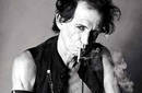 Keith Richards es acusado de matar a una orquídea