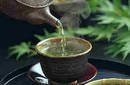 El té verde y sus beneficios para la salud