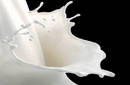 Auto a leche