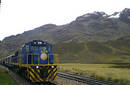 ¿Y nuestros trenes?