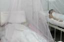Bolivia: Los casos de dengue se duplican en la amazonía de ese país donde hay alerta sanitaria