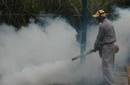 Venezuela:  Prevén disminución del dengue en varios estados