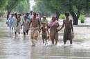 Las inundaciones arruinan la agricultura, motor de la economía paquistaní