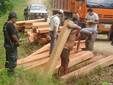 Cerca de 12 mil pies de tablares de madera fueron decomisadas en la Merced