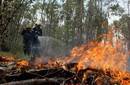 Chile: Incendios forestales destruyen 5.642 hectáreas en varias regiones