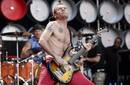 Los Red Hot Chili Peppers lanza un libro