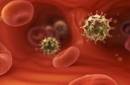Investigadores reportan posible cura de la infección del VIH