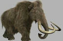 El prehistórico mamut podría volver a la Tierra dentro de cinco años