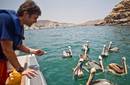 Nieto de Jacques Cousteau llegó al Perú