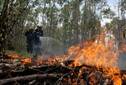 Paraguay: Sofocan incendio que afectó 1.000 hectáreas de bosques