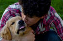 Nick Jonas cuando esta de gira extraña a su perro Elvis