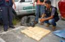 Más de 20 kilos de droga fue decomisada en Tarapoto