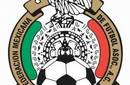 Fixture de Futbol Mexicano: El Apertura 2010 se inicia el dia 23 de julio