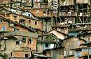 Ecologia en Brasil: En Río de Janeiro, las favelas ponen en peligro áreas ecológicas