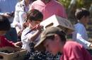 Fiestas de vendimias vuelven con música y gastronomía