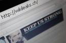 'WikiLeaks' es ya parte del idioma inglés