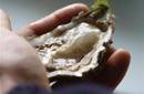 Un virus de las ostras amarga las fiestas a los franceses