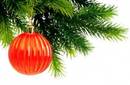 ¿Árbol de Navidad natural o de plástico?