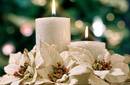 Velas de navidad