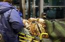 Moscú: Una explosión en un aeropuerto causa varios muertos y heridos