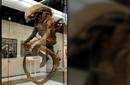 H.R. Giger cuenta que 'Alien' salió de sus pesadillas