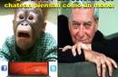 Vargas Llosa: los jóvenes ¡piensan como un mono!