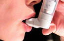 Receptores pulmonares de sabor podrían ayudar en casos de asma
