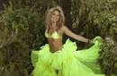 Shakira se apodera de iTunes