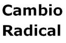 Cambio Radical: Firmas falsas en asamblea extraordinaria del 17 de marzo de 2010