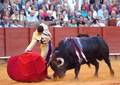 Parlamento catalán aprueba abolición de las corridas de toros en la región