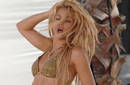 Shakira se asusto de un avesado admirador
