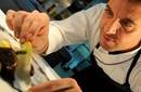 Cocina a base de la biodiversidad del Mediterráneo