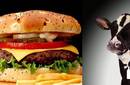 Hamburguesas y Salud Humana