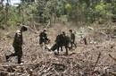 Las FARC designan a 'Pastor Alape' como sucesor del 'Mono Jojoy'