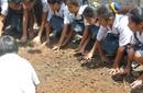 Instalación de los Biohuertos Educativos Abiertos